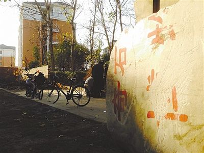 昨日，“上海奇石盆景博物館”原址上，已矗立起小區(qū)樓盤，而刻著博物館名的巨石，廢棄在一旁。本版圖片/新京報(bào)記者 張永生 攝