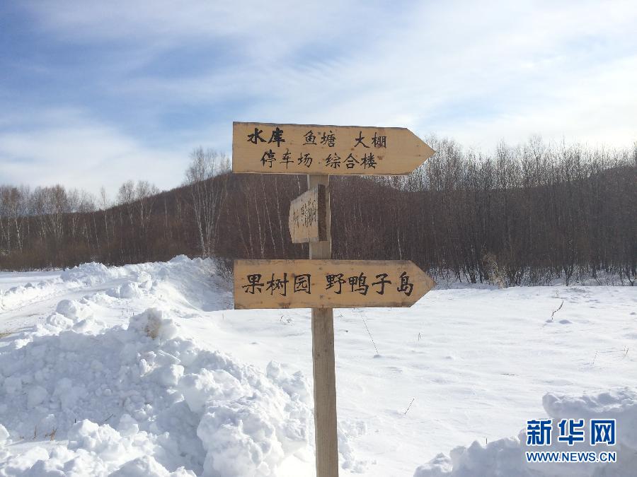 穗豐園里的標(biāo)識牌（2013年12月8日攝）。新華社記者王子辰攝