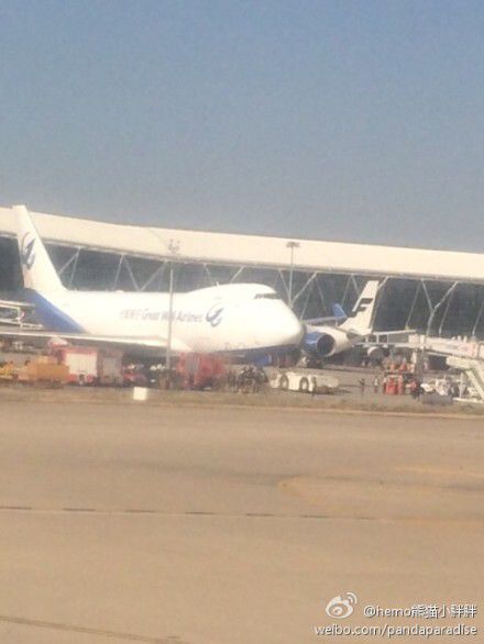圖說：發(fā)生事故的飛機(jī)。圖片來源：新浪微博網(wǎng)友圖（請(qǐng)私信“新民晚報(bào)新民網(wǎng)”以奉稿酬）