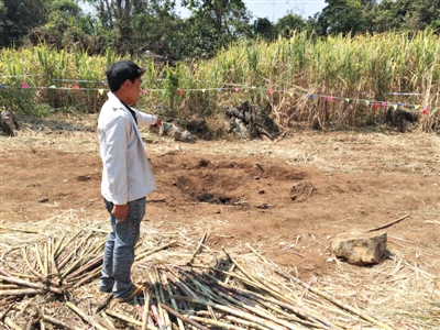 昨日，在大水桑樹村，村民向記者展示13日造成5死8傷的炸彈事件彈坑。