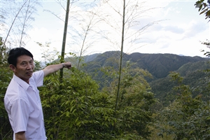 村民吳學(xué)田告訴記者，對面兩座山就是潘建友承包的部分山場 見習(xí)記者 邱一文 攝