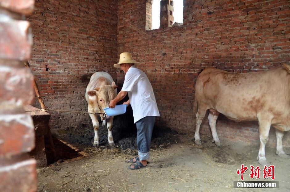 同時(shí)，地下水位的持續(xù)下降以及部分山泉水的干涸，已造成全縣2.85萬人和2000頭大牲畜出現(xiàn)飲水困難。