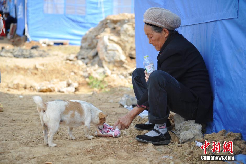 8月6日，一名老人將剛領(lǐng)到的礦泉水分給小狗。