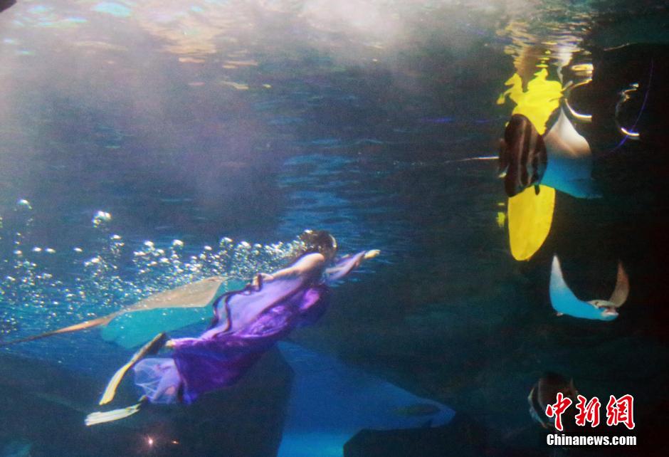 9月7日，在中秋節(jié)到來前一天，山東泉城海洋極地世界為游客帶來“嫦娥水中奔月”表演。