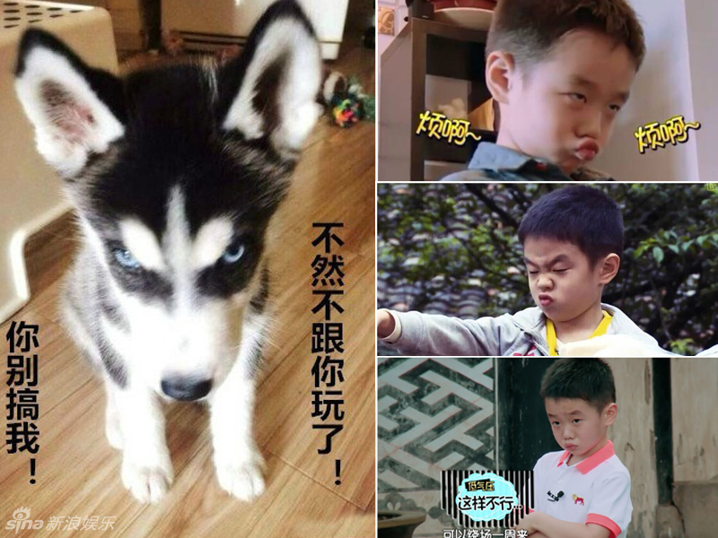 不小心就撞臉了！盤點(diǎn)動(dòng)物界的明星相