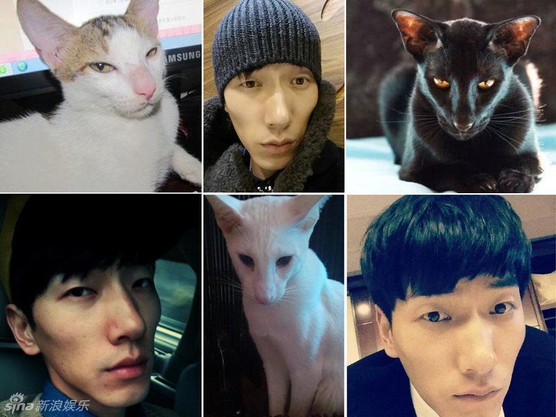不小心就撞臉了！盤點(diǎn)動(dòng)物界的明星相