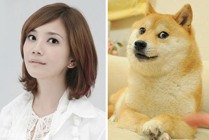 不小心就撞臉了！盤點(diǎn)動(dòng)物界的明星相