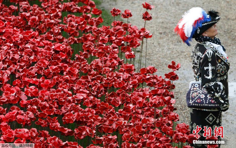 當(dāng)?shù)貢r間2014年11月10日，英國倫敦，倫敦塔周邊“種植”了888246朵陶瓷材質(zhì)的罌粟花，以此紀(jì)