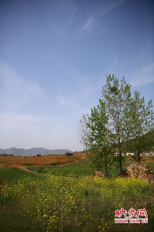 庫區(qū)的藍(lán)天、白云、綠樹、黃花給人清新的享受