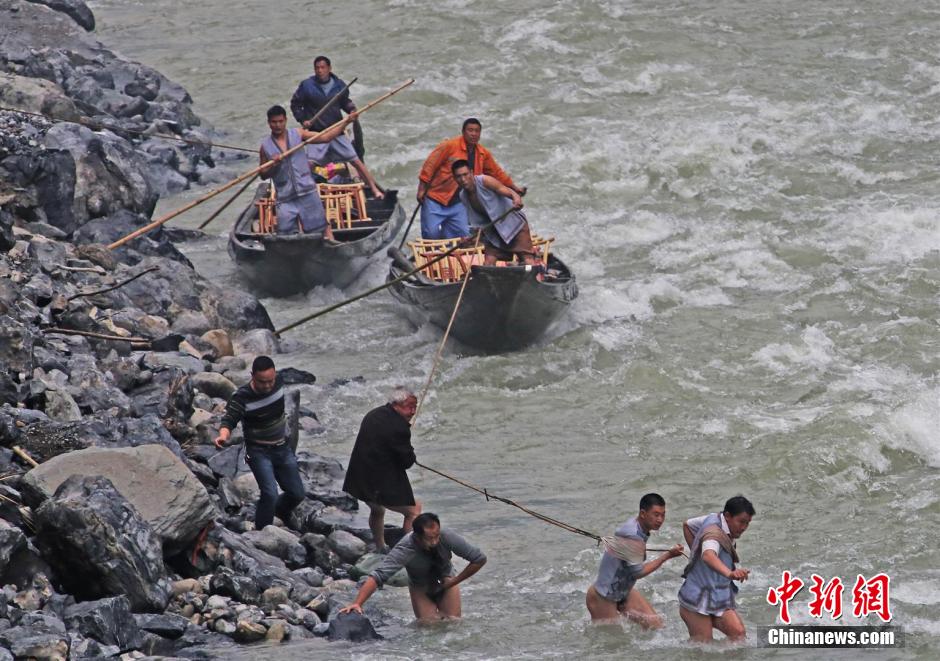 纖夫在神農(nóng)溪畔牽引木船溯溪而上。