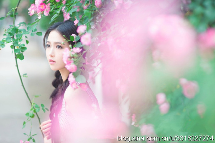 民航大學(xué)最美?；ㄋ秸掌毓? width=