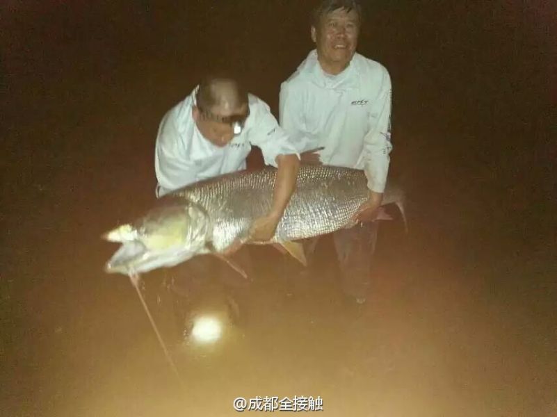 圖為大魚(yú)需要兩個(gè)人抱起。
