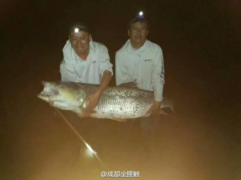 　圖為大魚(yú)需要兩個(gè)人抱起。