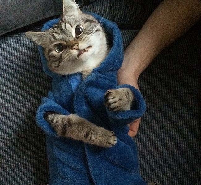 身穿浴袍的Loki好像看起來也沒那么兇哦。