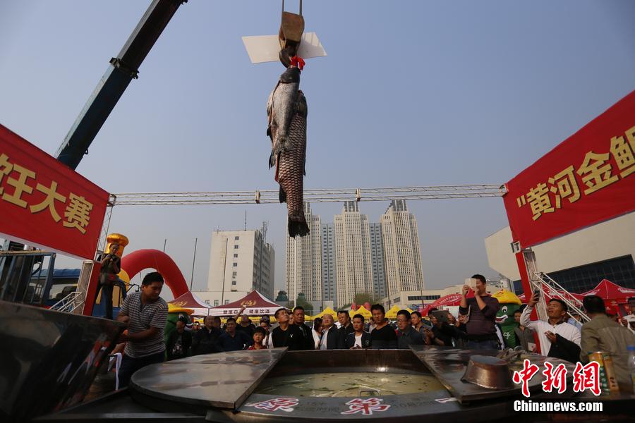 起重機吊起161.2斤魚王下鍋。 圖片來源：CFP視覺中國