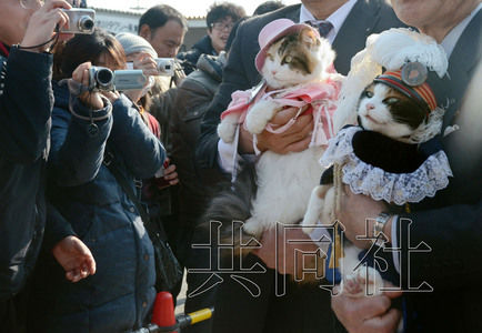 圖為粉絲們簇擁著“阿玉”站長（右）。左側為其部下“二玉”。