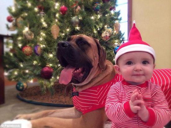 圖為美國2歲大的寵物犬與主人9個月大的女嬰。圖片來源：臉譜網(wǎng)站（Facebook）。