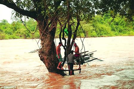 蓋屋、種菜，“從沒這樣快樂”