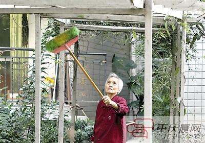 重慶現(xiàn)怪異毛毛蟲10天啃光3棵大樹(shù) 雞不敢吃