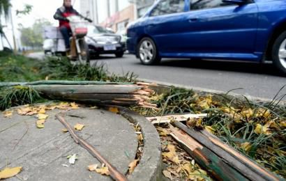 事發(fā)現(xiàn)場，嫌疑車輛撞壞的木樁。