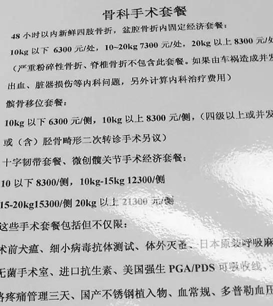 女子為給愛犬治病 從新疆開了4天車還花費(fèi)5萬5 女子為給愛犬治病 從新疆開了4天車還花費(fèi)5萬5