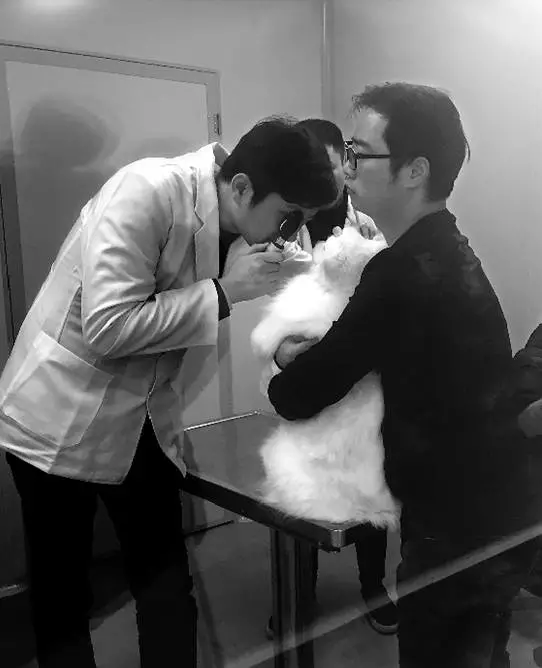 女子為給愛犬治病 從新疆開了4天車還花費(fèi)5萬5 女子為給愛犬治病 從新疆開了4天車還花費(fèi)5萬5