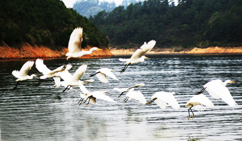 考完去哪兒？千島湖中、高考生門票大優(yōu)惠！