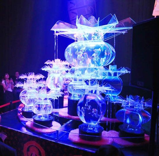 金魚(yú)在燈光下的水缸中翩翩游弋吸引游人參觀