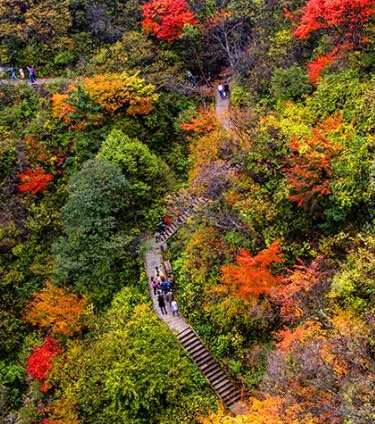 河南邀北京APEC黃金周免費暢享好空氣 河南邀北京APEC黃金周免費暢享好空氣