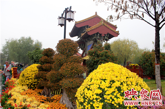 天好、花美 中國開封第32屆菊花文化節(jié)延長一周