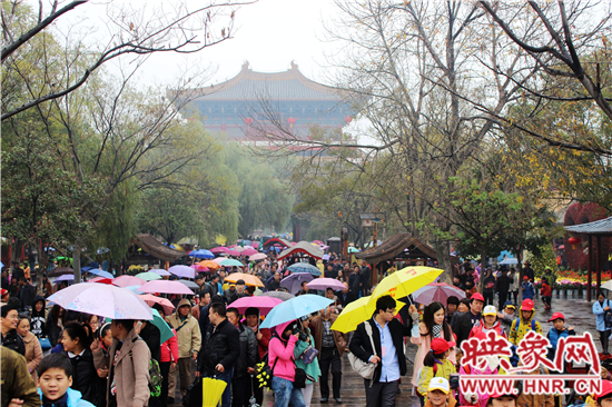 天好、花美 中國開封第32屆菊花文化節(jié)延長一周