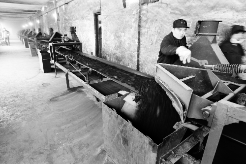 供熱鍋爐已經(jīng)開始進(jìn)煤 供熱鍋爐已經(jīng)開始進(jìn)煤