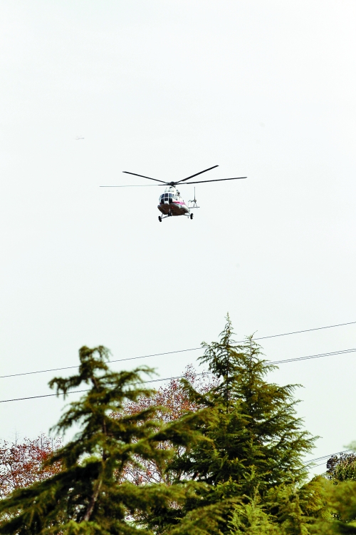 輕拋一點入云去，利眼“鐵鷹”掠地來