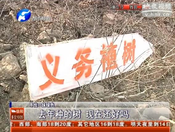 去年種的樹 現(xiàn)在還好嗎？