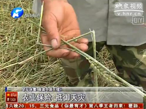 農(nóng)業(yè)保險能挽回多少天災損失