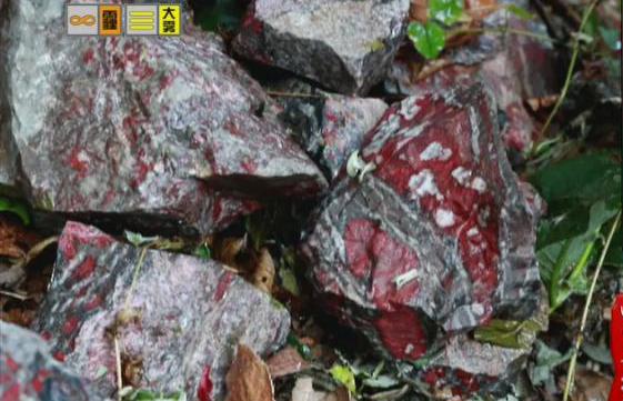 驚！神農(nóng)架無人區(qū)現(xiàn)神秘玉石