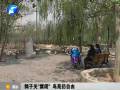 鄭州動物園鴿子關“禁閉” 鳥苑仍自由