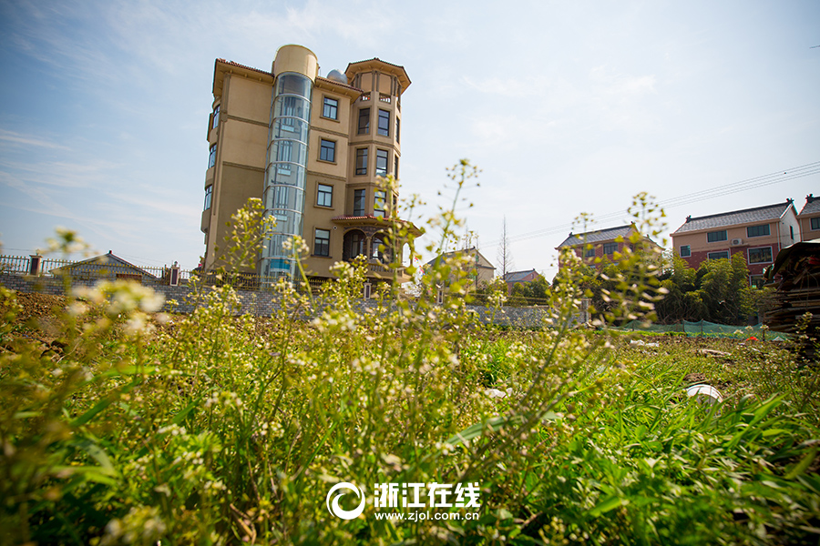 史上最壕農(nóng)居房：游泳池+觀(guān)光電梯